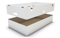 Packaging with air holes guarantees optimal moisture regulation and prevents condensation.